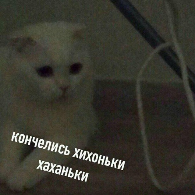 Депрессивный Чирончик