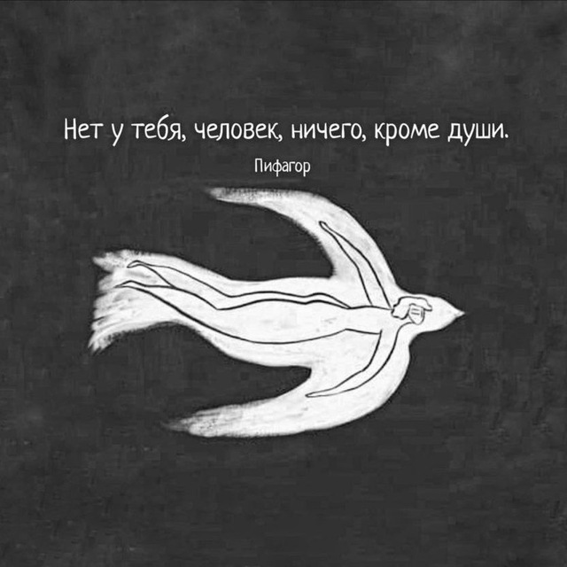 дневник человеческий