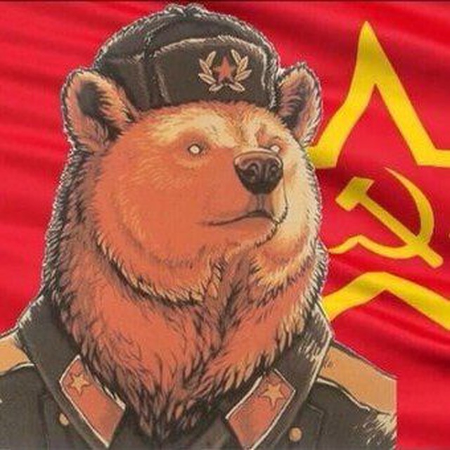 Сам себе Медведь