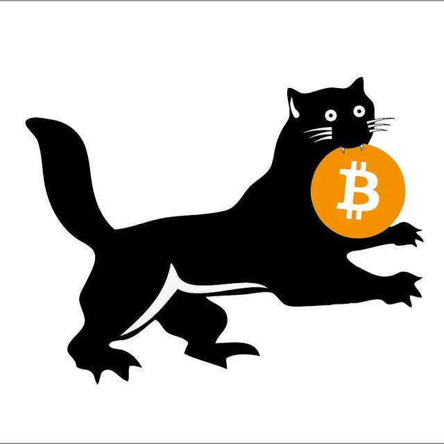 #криптоиркутск