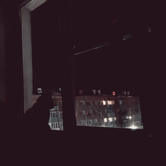 Эта ebaнaя жизнь