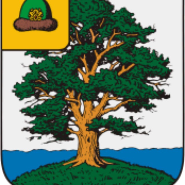 Генеалогия. Пронский уезд