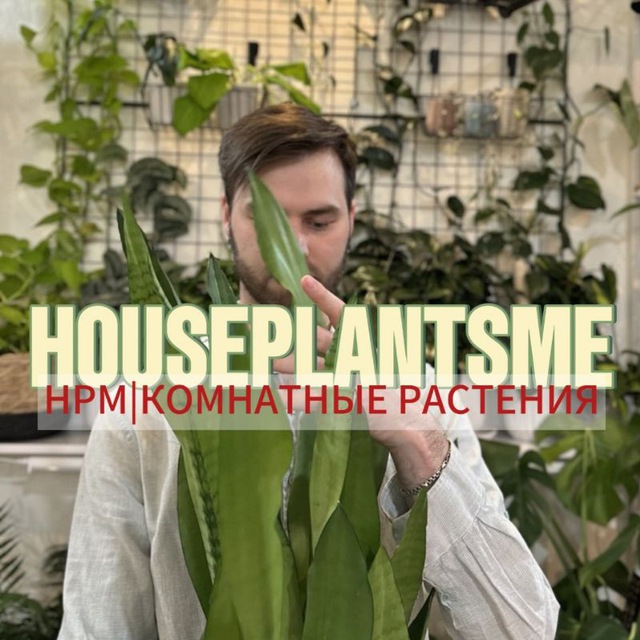 Houseplantsme | Комнатные растения