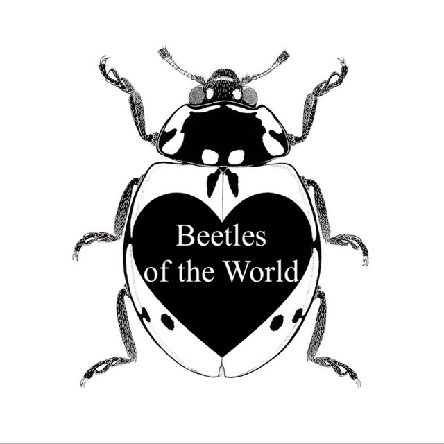 Beetles of the World