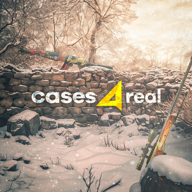 Cases4Real | Кейсы, скины CS2