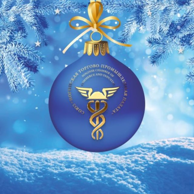 Ногинская ТПП