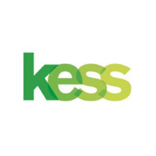Чат Kess.pro
