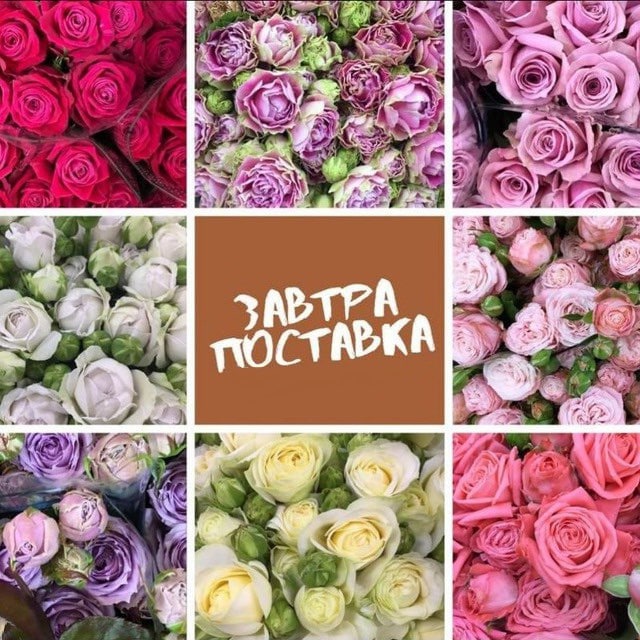 ?ЦВЕТЫ ОПТОМ ? ИМПЕРИЯ ЦВЕТОВ ?