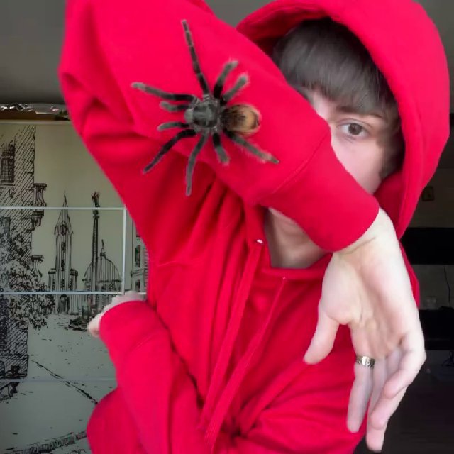 Palton4ik ?