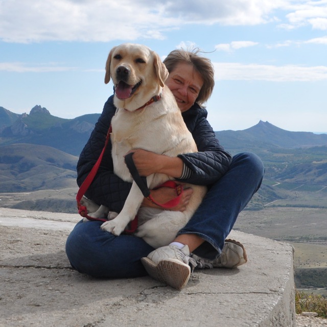 Лабрадоры Meeting Flash. Щенки лабрадора. Отдых с собаками в Крыму Добро пожаловать в питомник лабрадоров "MEETING FLASH"!