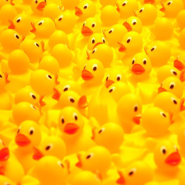 Duck Party ??