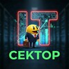 Сектор ИТ