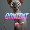 CONTENT you are
