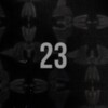 23