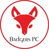 Badgers PC/ Бадгерс ПК📱💻🕹