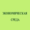 Экономическая среда / Economic Environment